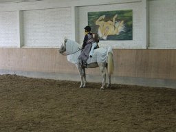 IMG_3419-090